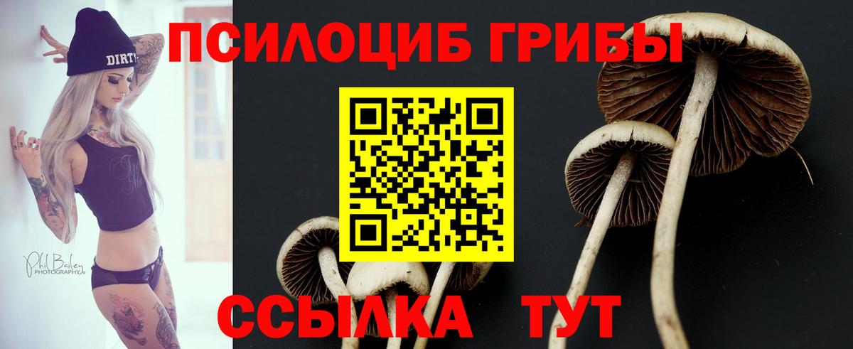 Псилоцибиновые грибы Magic Shrooms Красноуфимск